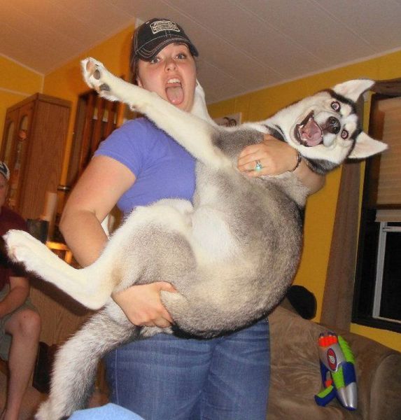 Прикольные картинки