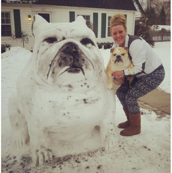 Прикольные картинки