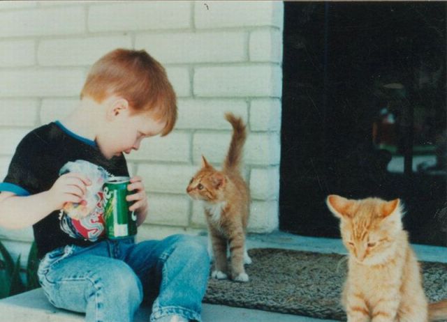 Прикольные картинки