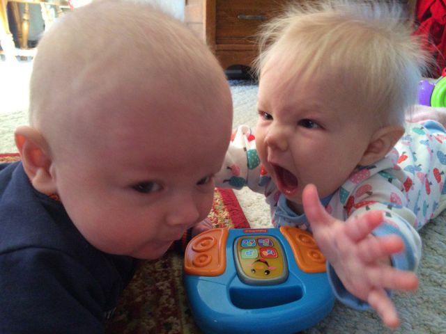 Прикольные картинки