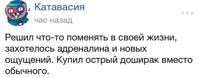 Прикольные картинки (84 фото)