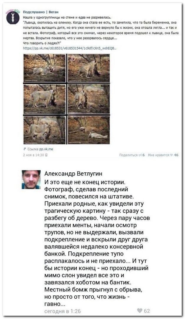 Смешные комментарии из социальных сетей