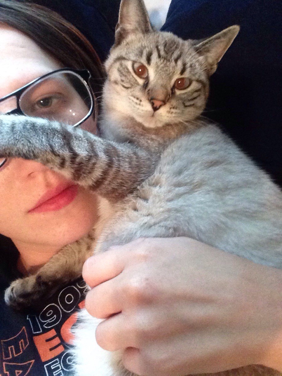 Забавные и симпатичные животные