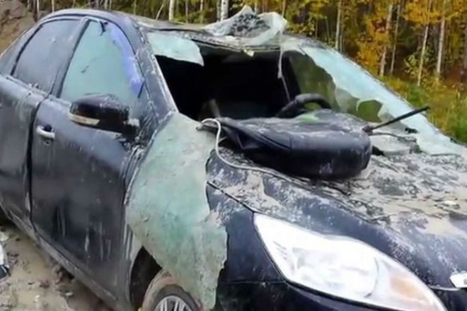 Эти животные преподали людям урок