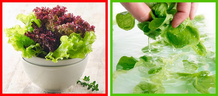 Продукты, которые мы всегда мыли неправильно