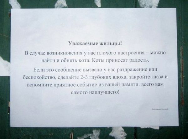 Лучшие объявления 2013 Лучшие объявления 2013