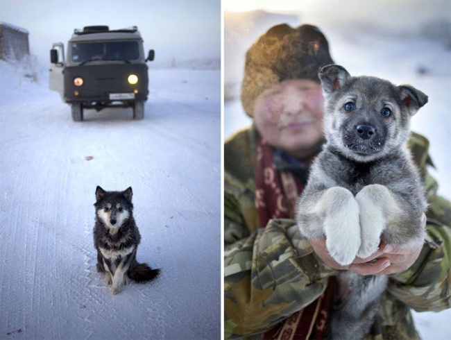 Где сейчас настоящая зима