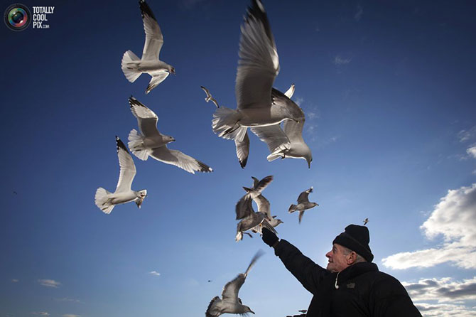 Неделя в фотографиях Неделя в фотографиях