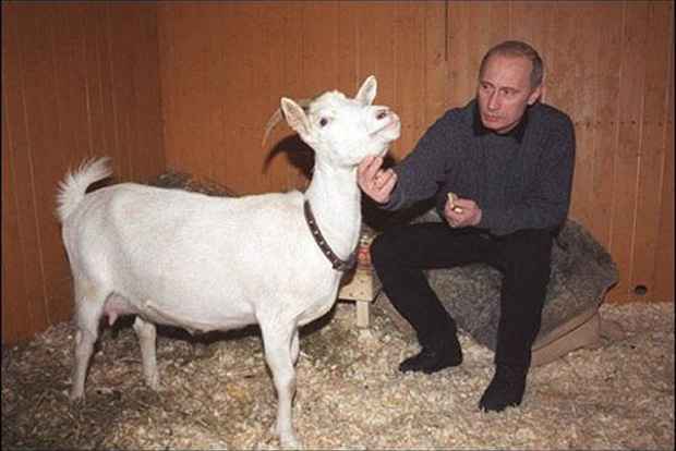 Что дарят Путину бизнесмены и политики Что дарят Путину бизнесмены и политики