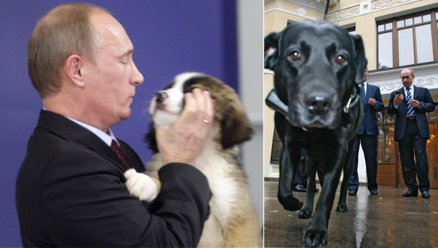Что дарят Путину бизнесмены и политики Что дарят Путину бизнесмены и политики