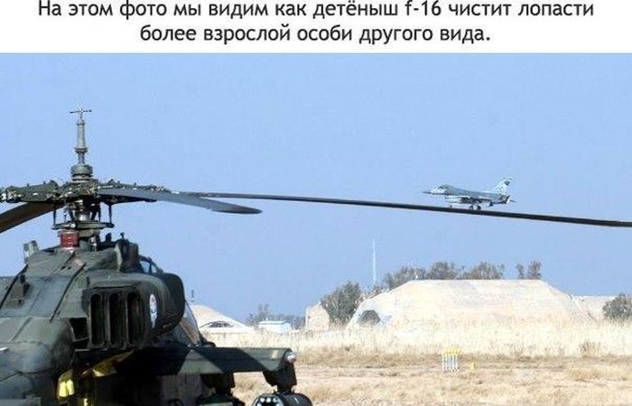 Прикольные картинки (81 фото)
