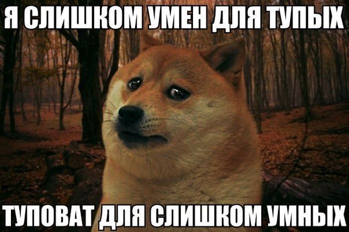 Прикольные картинки (81 фото)