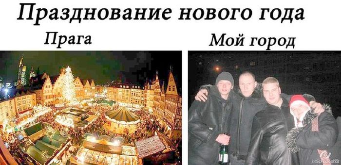 Прикольные картинки (81 фото)
