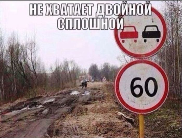 Прикольные картинки (81 фото)