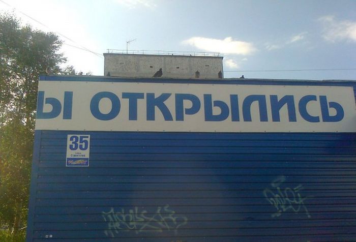 Прикольные картинки (81 фото)