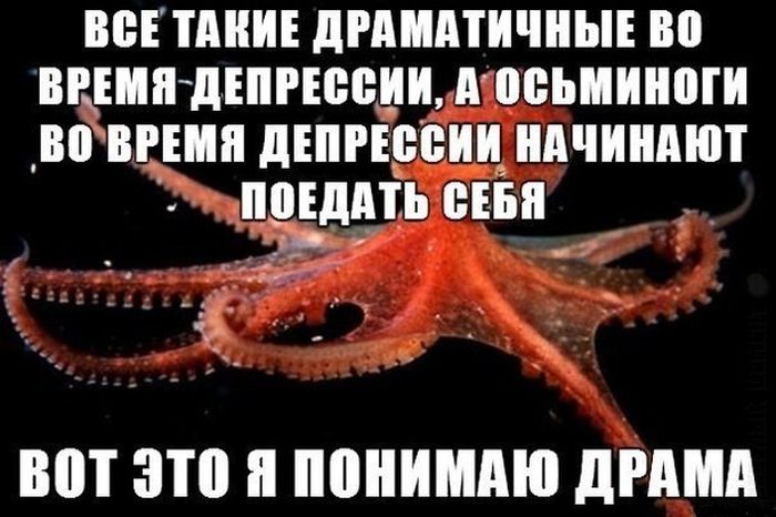 Прикольные картинки (81 фото)