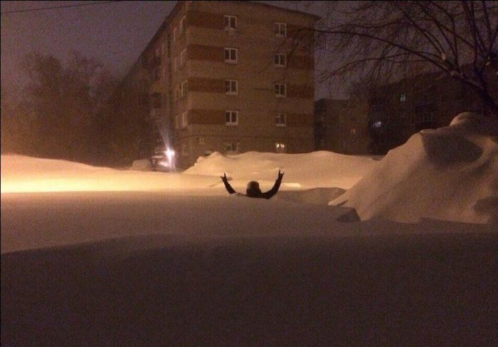 Прикольные картинки (81 фото)