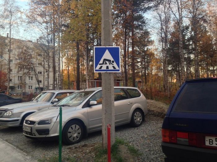 Прикольные картинки (81 фото)