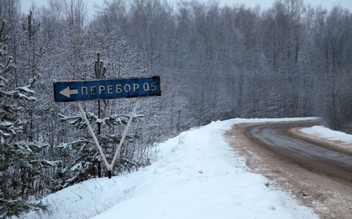 Прикольные картинки (81 фото)