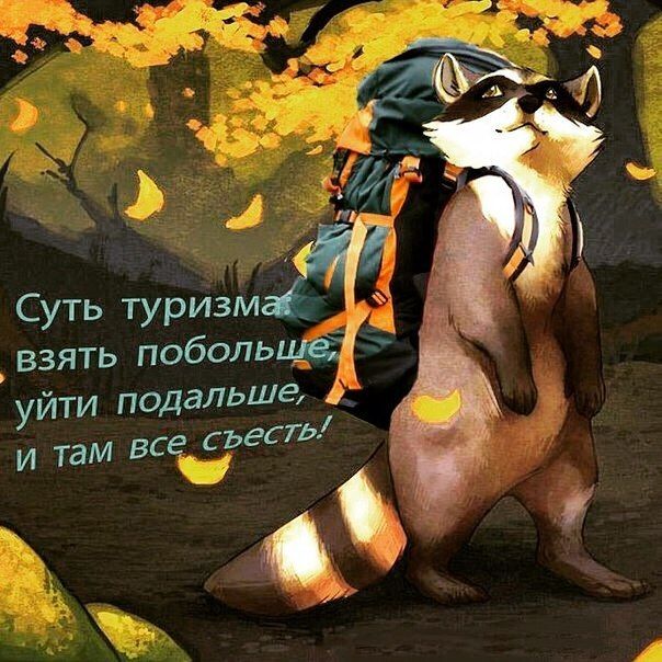 Прикольные картинки (81 фото)