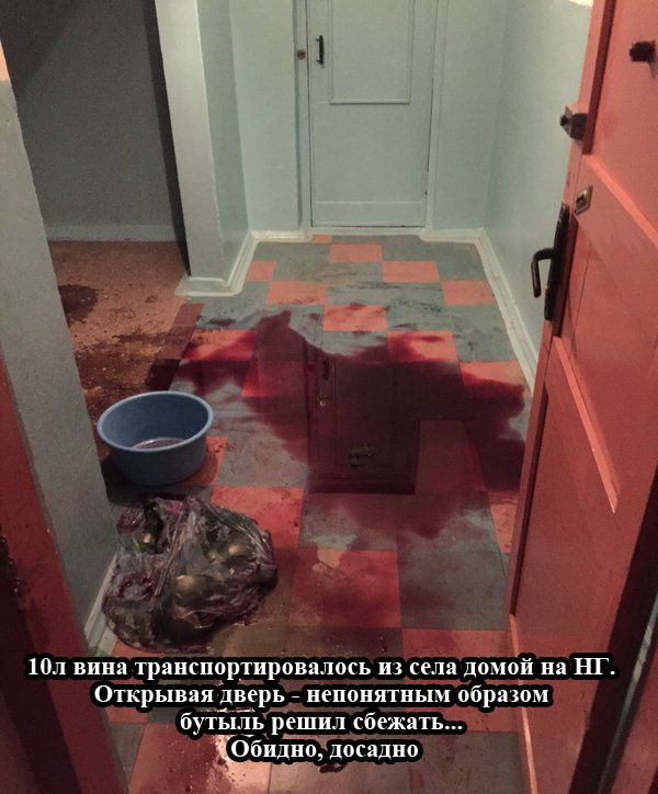 Прикольные картинки (81 фото)