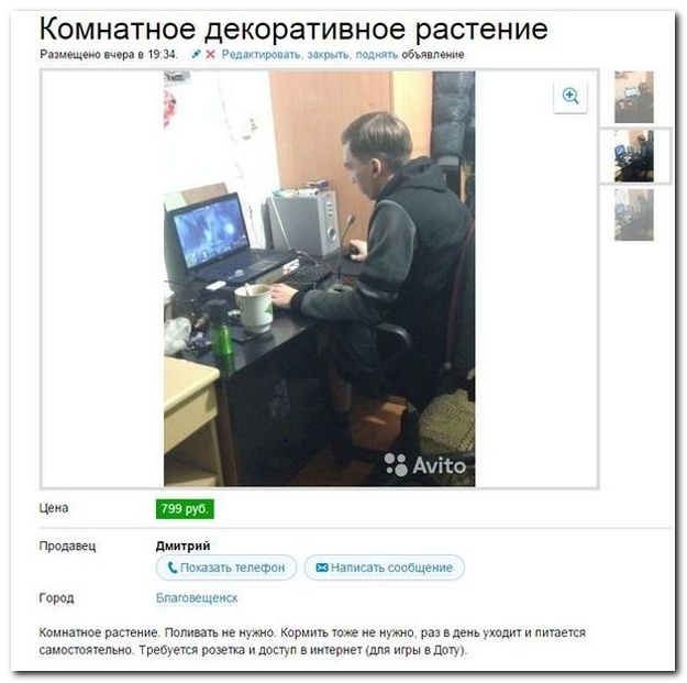 Смешные комментрии из социальных сетей