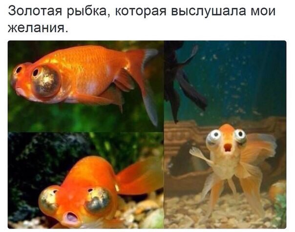 Смешные комментарии и высказывания из социальных сетей