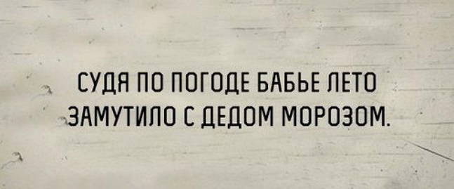 Смешные комментарии и высказывания из социальных сетей