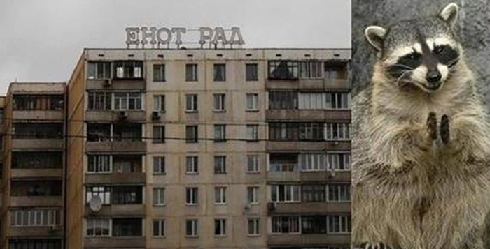 Прикольные картинки