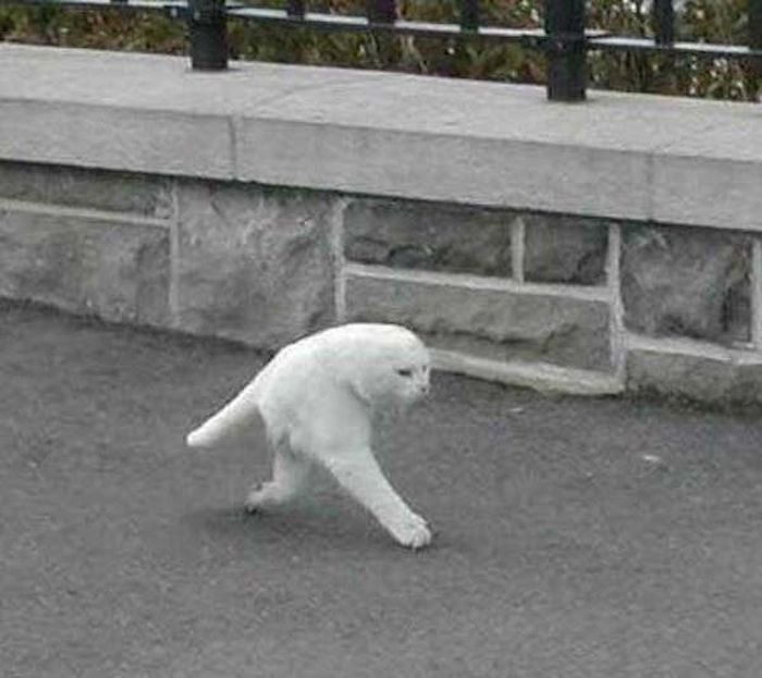 Неудачные снимки Google