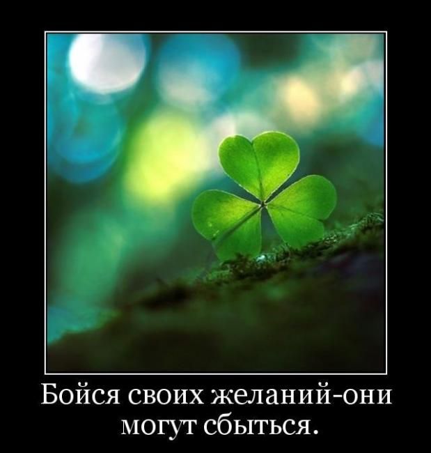Демотиваторы
