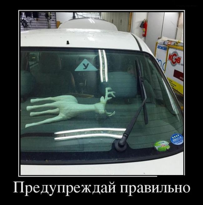 Демотиваторы
