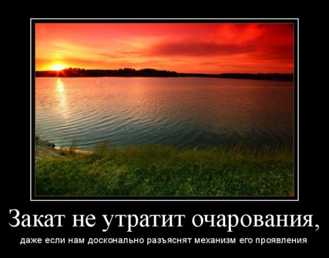 Демотиваторы