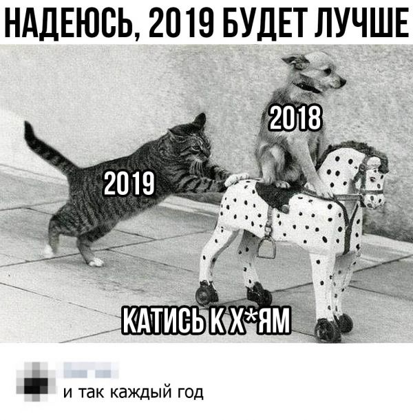 Юмор, шутки и комментарии из социальных сетей