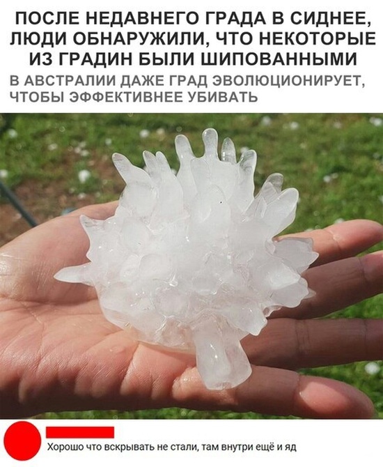 Юмор, шутки и комментарии из социальных сетей