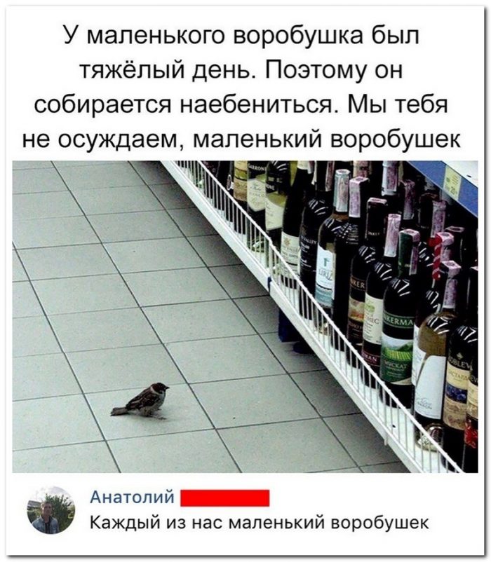 Забавные комментарии из социальных сетей