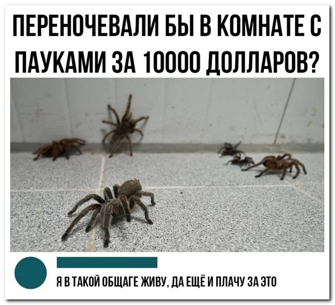 Забавные комментарии из социальных сетей