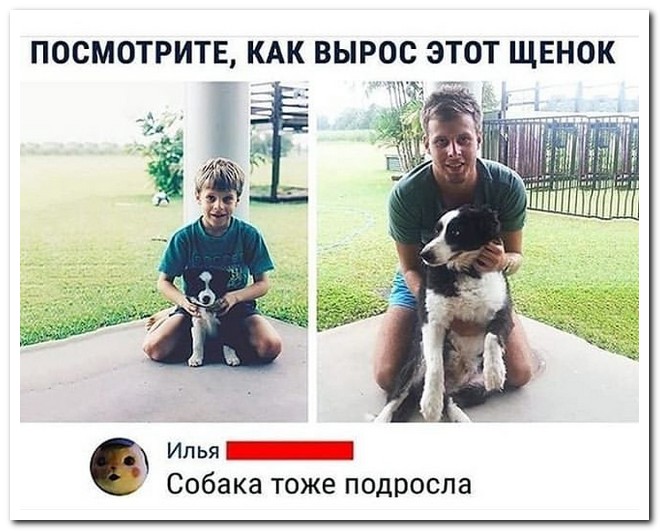 Забавные комментарии из социальных сетей
