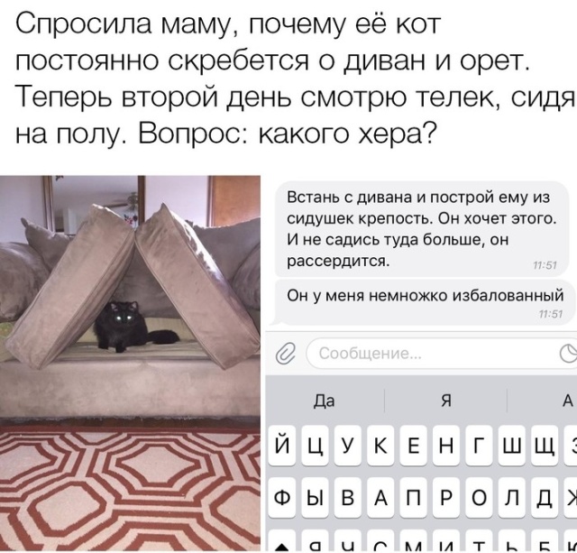 Прикольные картинки