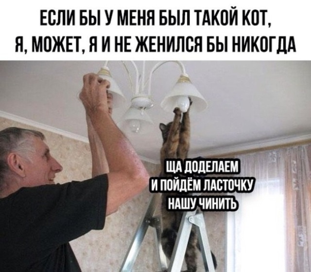 Прикольные картинки
