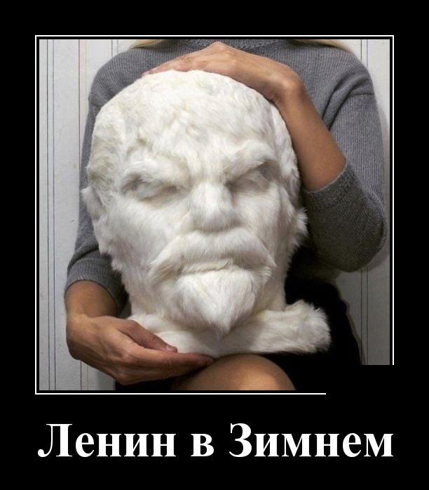 Демотиваторы