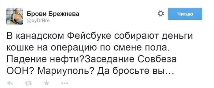 Порция картинок