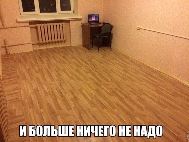 Порция картинок