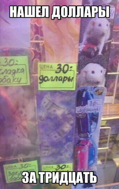 Порция картинок