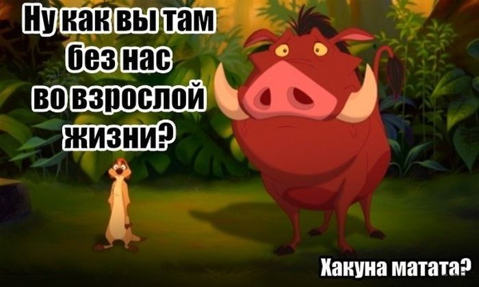 Порция картинок