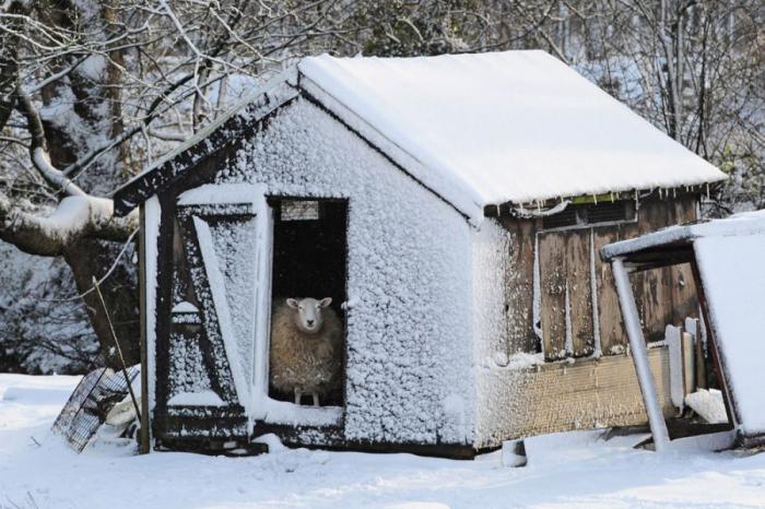 Прикольные картинки