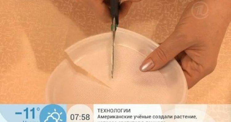 Что можно сделать из одноразовой тарелки (5 фото)