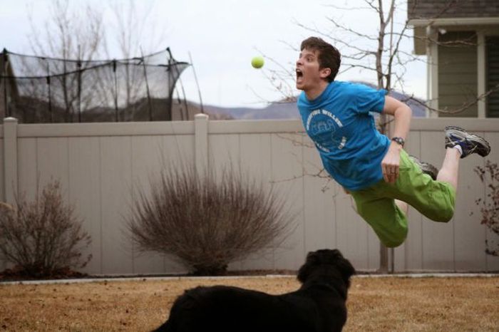 Порция картинок