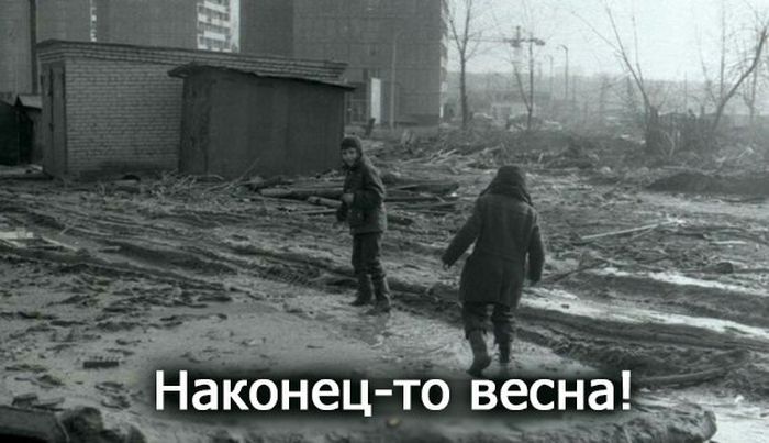 Порция картинок