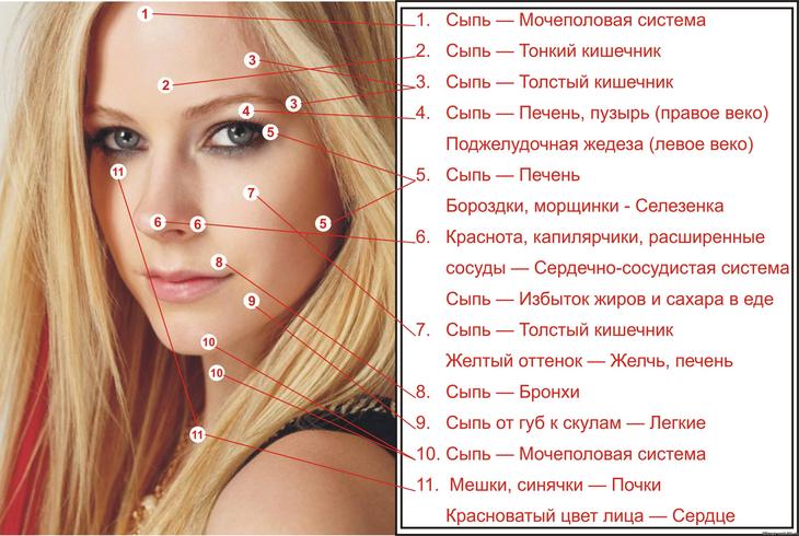 Карта прыщей на лице: что они означают? Расположение прыщей на лице и болезни